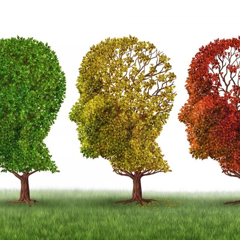 alzheimer dementie